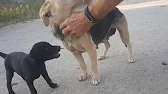Просто жизнь.