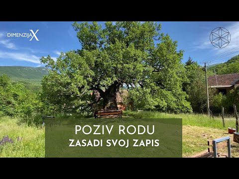 Video: Kodėl „Facebook“akcijos Pigsta