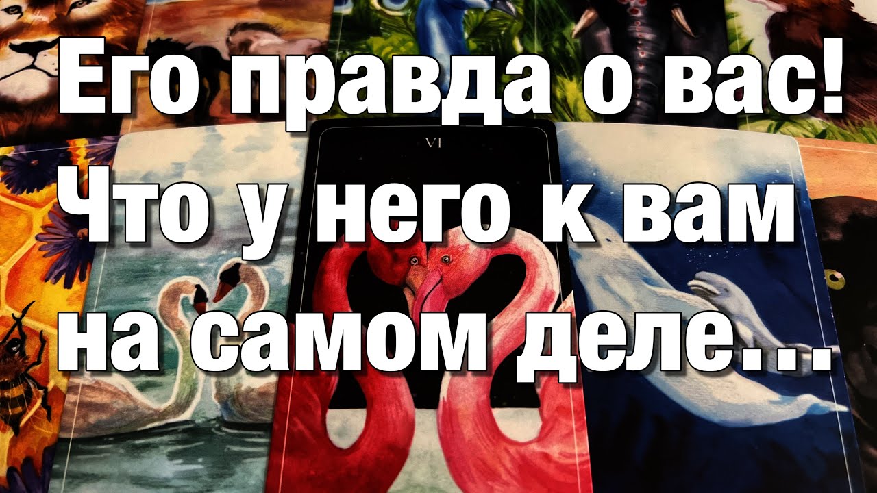 💯%♨️ВИДИТ ЛИ ОН БУДУЩЕЕ С ВАМИ?🌈🌞💫ЧТО ОН ЧУВСТВУЕТ, ДУМАЕТ, ПЛАНИРУЕТ?