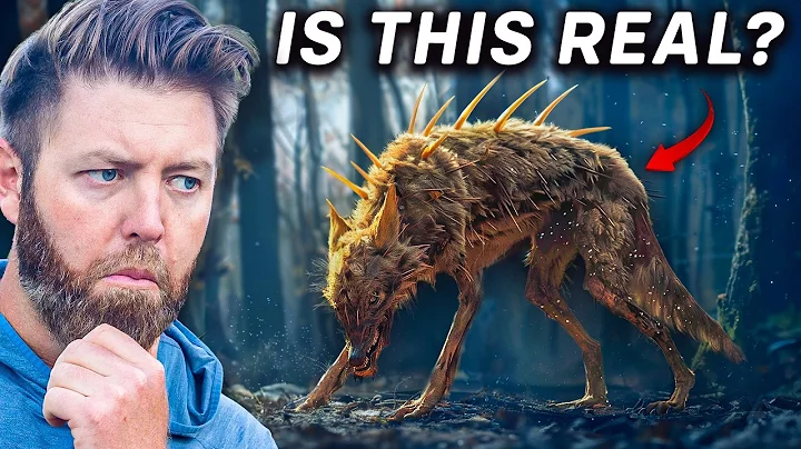 Wildlife Expert Investigates 5 Infamous Cryptid Animals