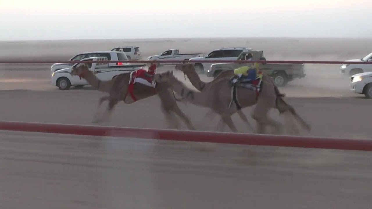 زياره ل حثيث منجاش الحرسوسي