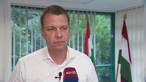 Menczer Tamás: Ruszin-Szendi Romulusz Magyar Péterhez hasonlóan egy pojáca - HírTV