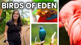 World's Largest Aviary: BIRDS OF EDEN - GARDEN ROUTE, Travel South Africa, Plettenberg Bay Cape Town