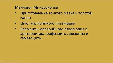 Малярия 2. Микроскопия