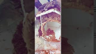 VID 20201028 WA0002