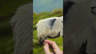 Painting a sheep