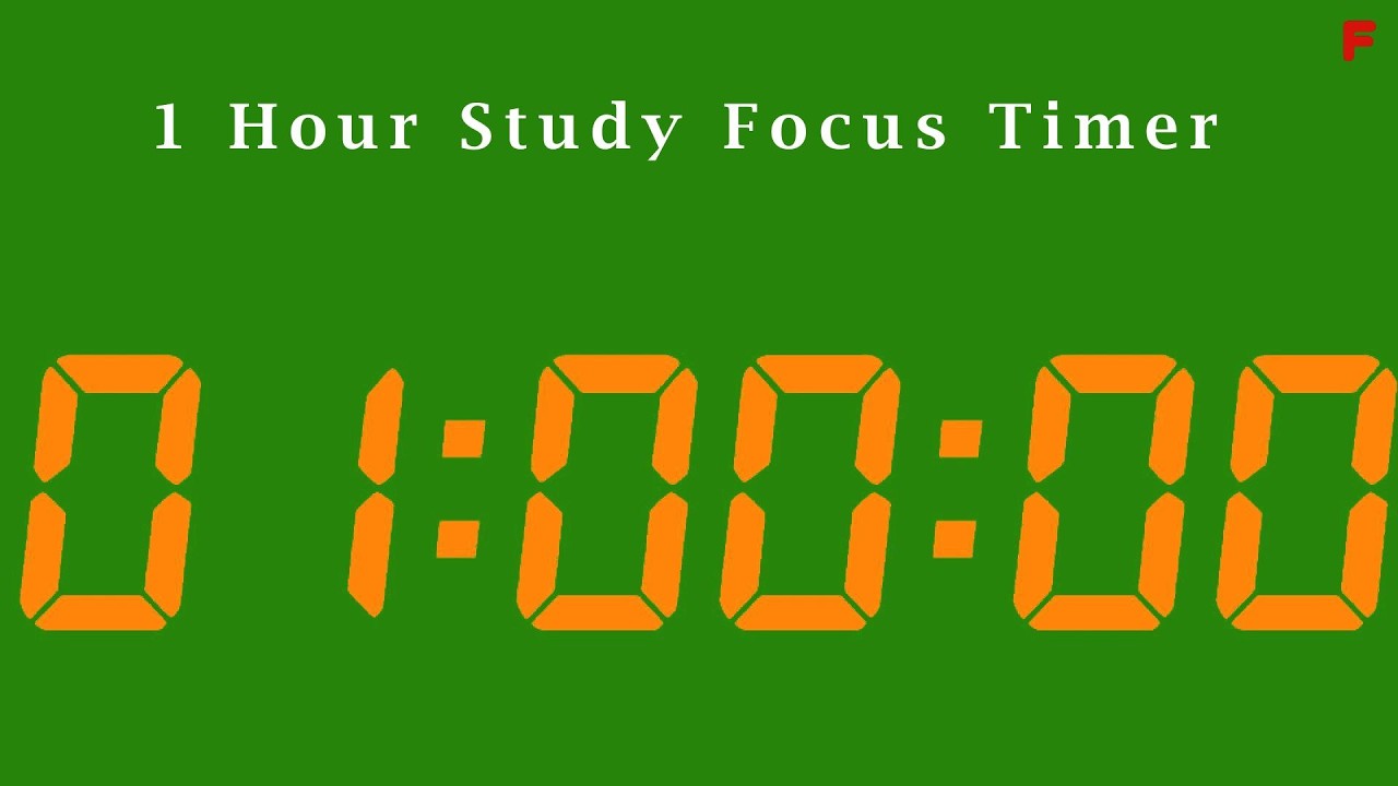 1 Hour Study Focus Timer