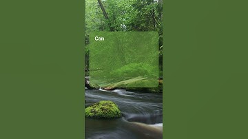 TKT module 1, functions Asking for explanations