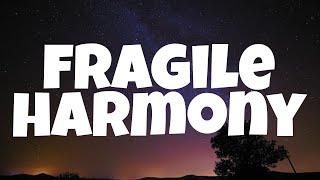 Nikesh Lilani- Fragile Harmony (official lyric video) | Prod. CapsCtrl |