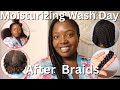 Moisturizing Ayurvedic Wash Day On Low Porosity Natural Hair After Month Old Knotless Braids