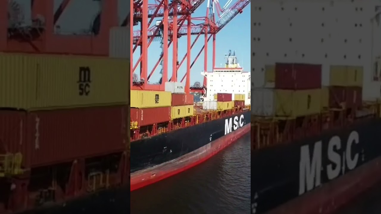 # 1 MSC KOREA, Port of New-York USA 🇺🇸