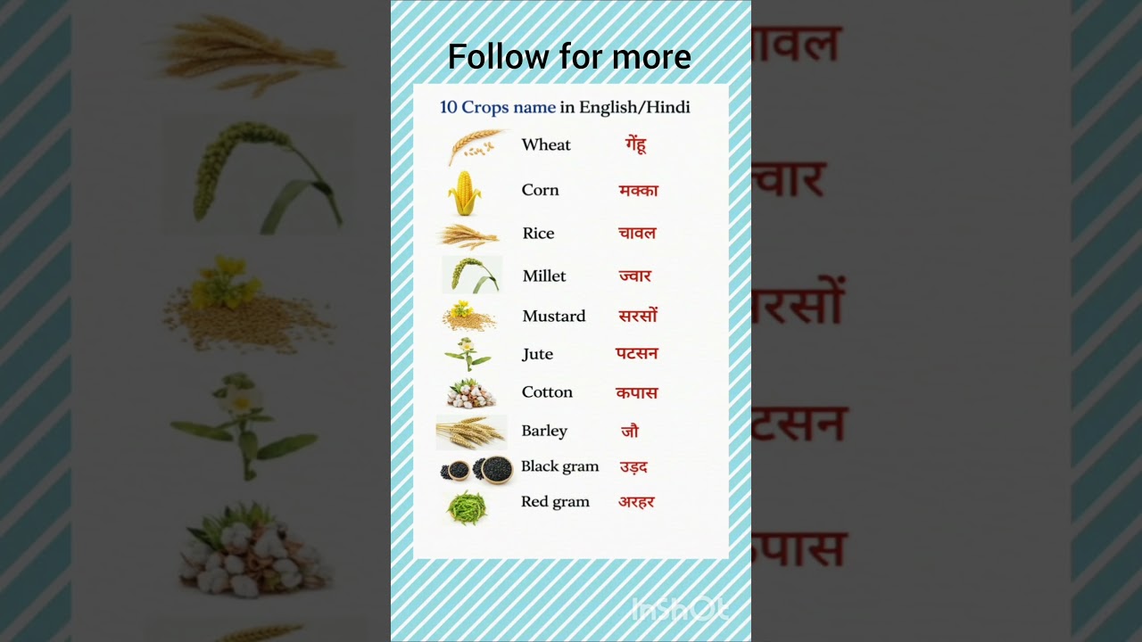 crops names. 