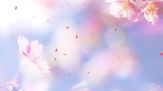 Romantic flower background petals falling video screenshot 3