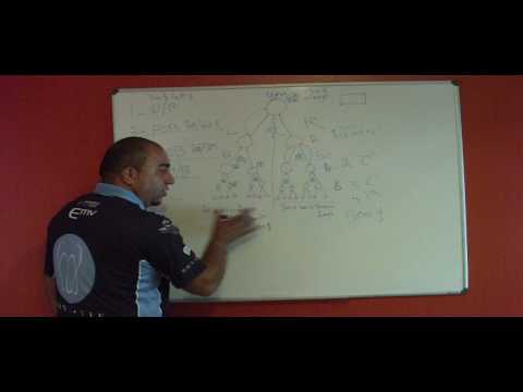 Andreh Davoudi Blue Diamond Monavie presentation v...