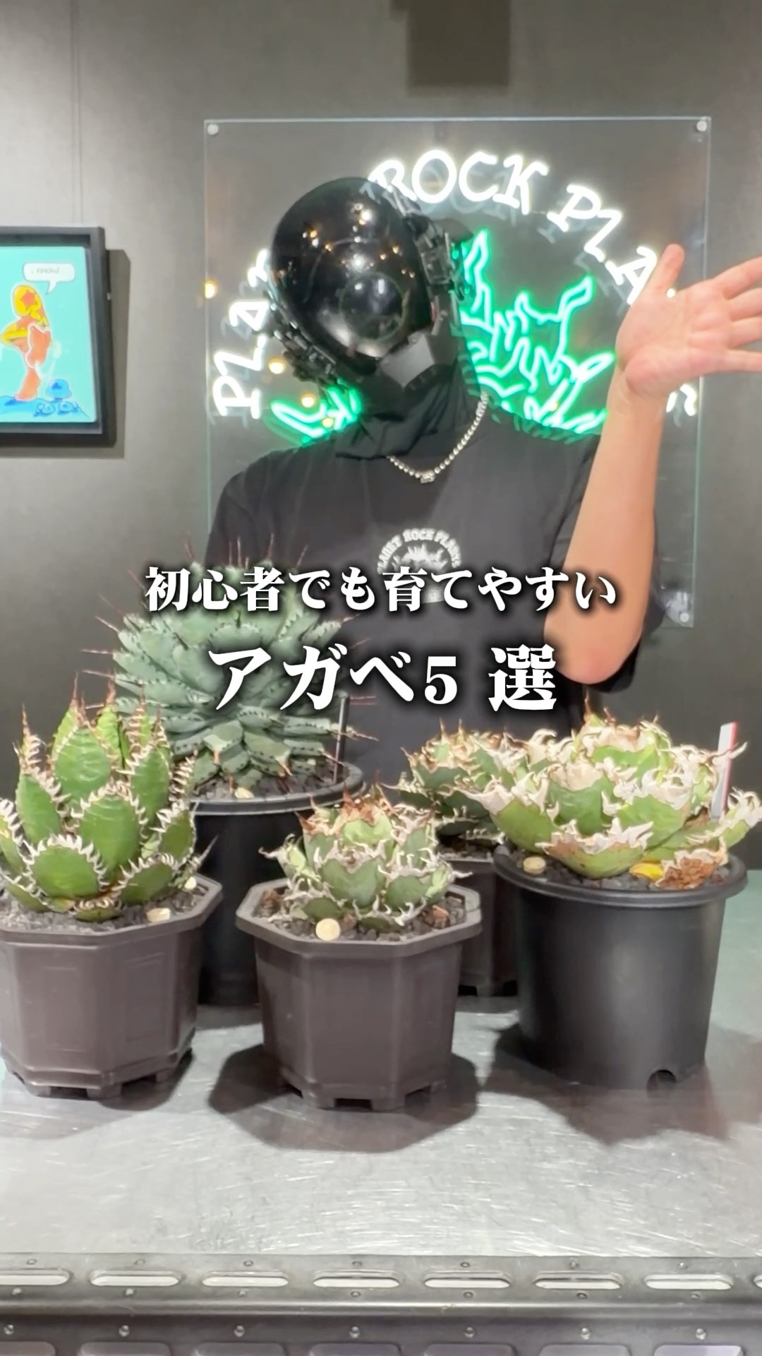 For Plant Beginners] 5 Agaves Recommended by a Pro - YouTube