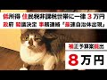 4月から！【住民税非課税世帯へ3万円給付＋特別給付金5万円】政府 物価高対策 2.2兆円で成立「自治体一番乗り出現」子育て支援策 31日発表【岸田政権 異次元の少子化対策】