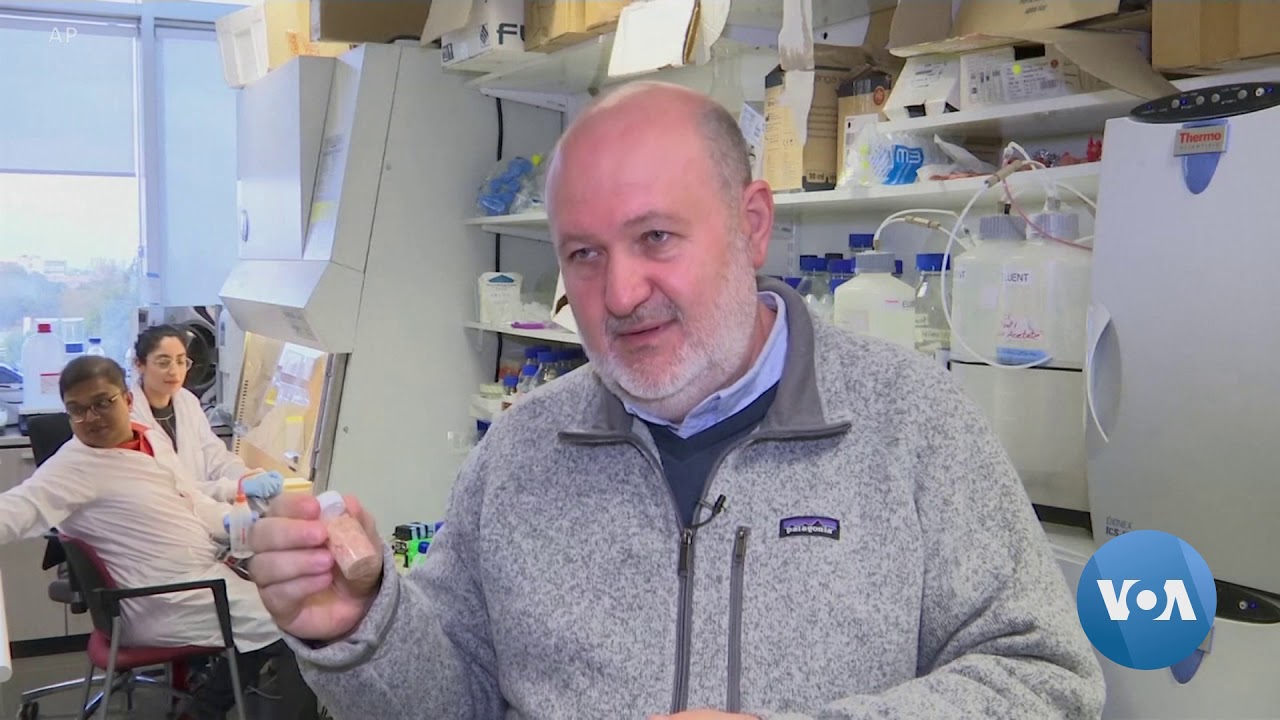 Seaweed Could Help Produce Biodegradable Plastic