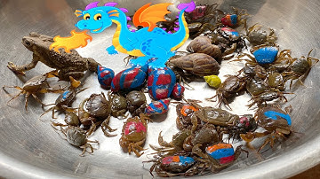 Kem Ốc Chanel ra bờ ao bắt cua gặp rồng phun lửa biến màu các con vật: Ốc sên, con cóc, Học Đếm Số.