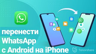 Как перенести WhatsApp c Android на iPhone - 2 СПОСОБА В 2023 ГОДУ