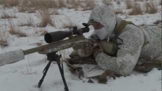 Predator Hunting: SUPPRESSED™  "Snow Storm"