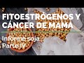 #SOJA 4⃣ FITOESTRÓGENOS Y #CÁNCER DE MAMA