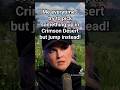 Crimson Desert Gameplay #crimsondesertgameplay #crimsondesertgame