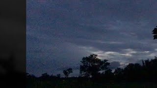 🔴 SIARAN LANGSUNG | Suara dari Sawah 🌾🐸 | Mii Natural Sounds #MiiNaturalSounds