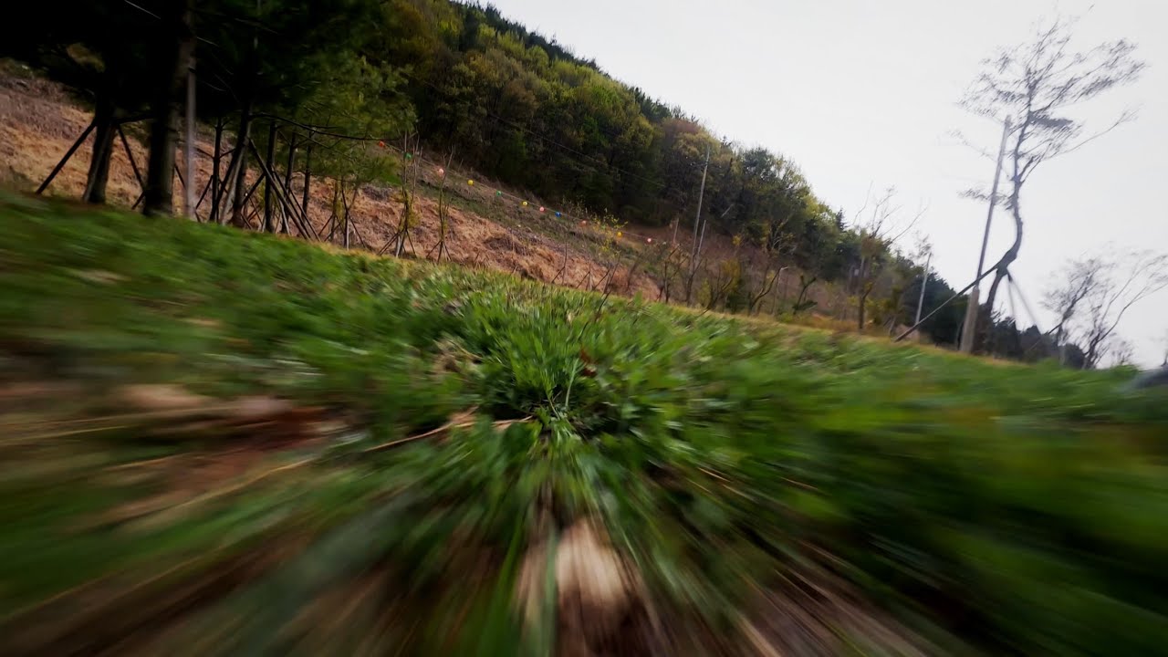 Madmck Kiss Firmware & Gopro8 Naked Test Flight