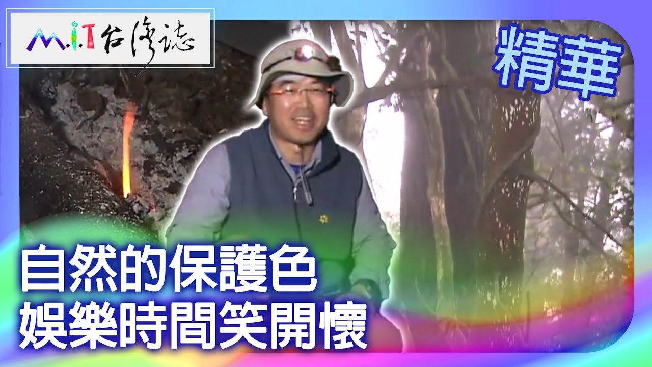 自然的保護色　娛樂時間笑開懷｜苗栗縣  麥覺明【 ‪‪‪‪ ‪‪‪‪‪‪‪‪‪‪‪‪‪‪‪‪‪‪‪‪‪‪‪‪‪‪‪‪ ‪‪‪@ctvmit  505集】