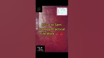 CCS University Meerut BSC 1st Sem Zoology Practical File Work :- Ancylostoma duodenale🔬🔬#ccsu #exam