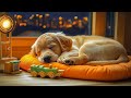 12 Hours Calming Dog Music🎵Relaxing Music for Dogs with Anxiety🐶🎵Separation Healing music💖Dog Calm
