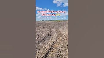 🌾 210 công lúa, chỉ 67 triệu/công. Đất làm 03 vụ or 02 vụ #ivantung #bandatlua #xuhuong #thinhhanh