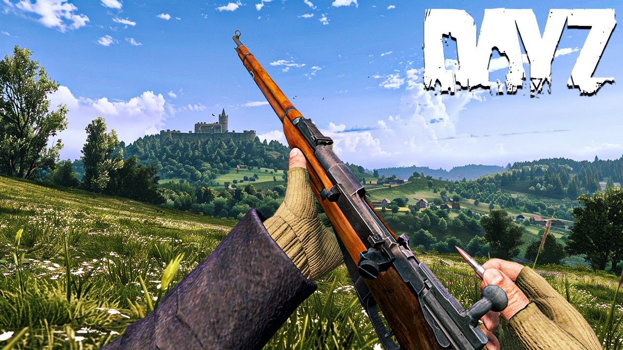 Surviving DayZ's HOTTEST SERVER