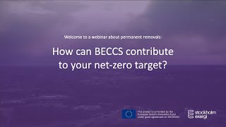 How can BECCS contribute to your net-zero target