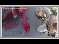 LSD Rampage SCSO Officer Involved Shooting | Body Cam & CCTV | United States | 20190704