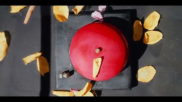 Immigration - SPINELESS (Music Video)