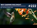 Why darwin was right the 222nd evolutionary lens with bret weinstein and heather heying