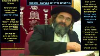 הרב דוד בן נעים | פרשת אמור תשע''ב