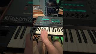 Matrix 12 patch exploring #synth #synthesizer #electronicmusic