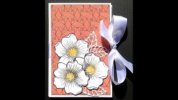 Accordion Fun Fold Card