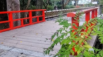 30分後に出発‼️別動画にUPしてます🔴#174回心旅🚴きょうも往復20kmの2時間チャリLIVE🔴四条烏丸より伏見区まで行きます😄 2025/10/19