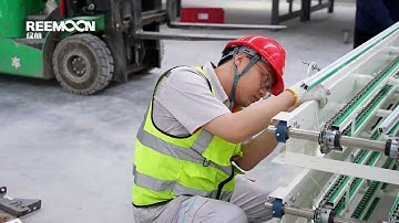 Reemoon 42-Channel Citrus AI Sorting Line: Installation Chronicles