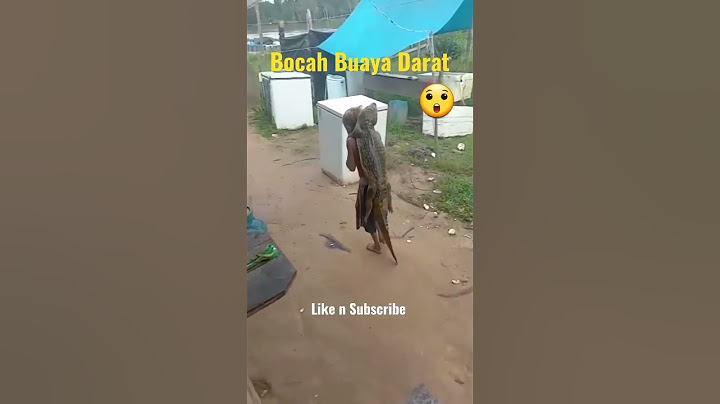 Bocah Ajaib Viral gendong anak buaya #viral #buaya #shorts