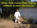 Tai Chi Qigong Shibashi Set 2 by Master Wing Cheung