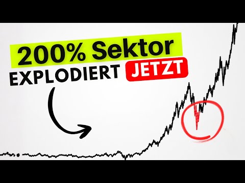 200% Sektor: Diese Aktien sollten JETZT in dein Portfolio! 
