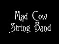 Mad Cow String Band