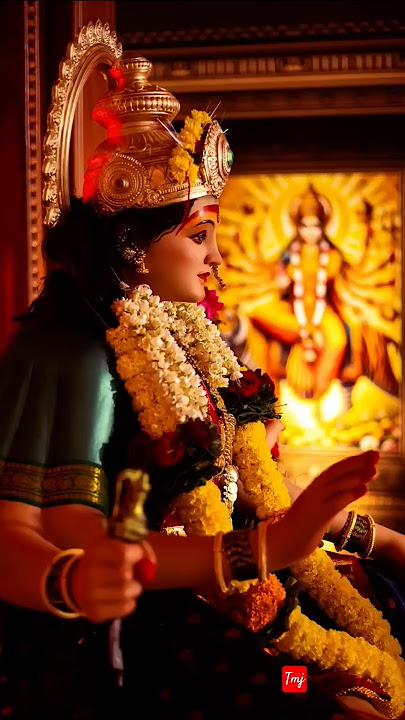 Hai Darwara wali Maiya ⭐🏵️🏵️🚩♥️✨🙏🪔🌟🌟