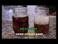 👉 BUY HERE! Amazon Nugget Ice Maker 2026