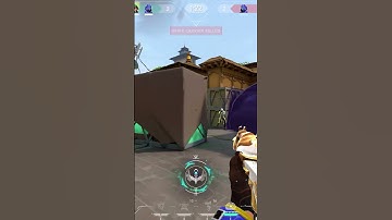 the cleanest target switching in valorant