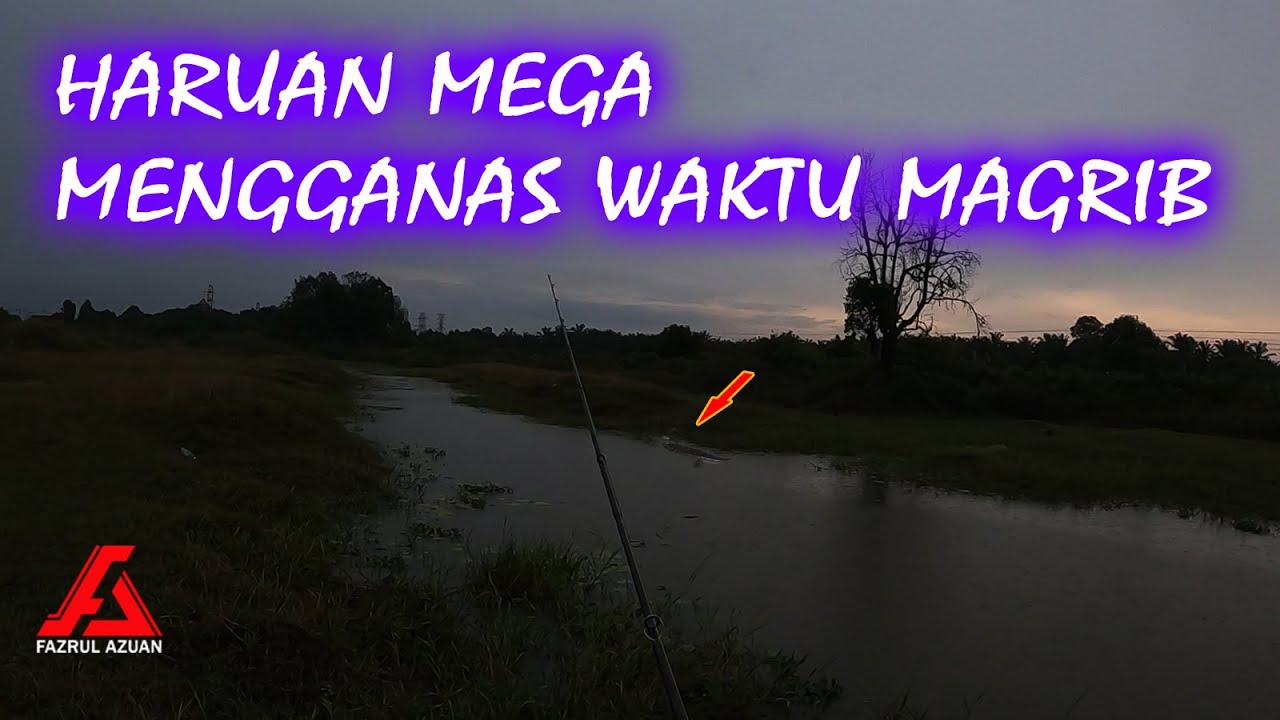 Akibat memancing di waktu magrib langsung disambar haruan monster [Casting Haruan]